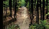 Trail On foot Flobecq - Dans le Brakelbos - Photo 1