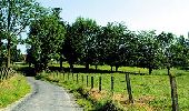 Trail On foot Flobecq - Entre Everbeek-Boven et le Bois de la Louvière - Photo 1