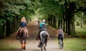 Trail Equestrian Belœil - Boucle de Beloeil - Photo 4