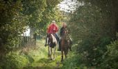 Tocht Paard Elzele - Ruiter- & menroute van Ellezelles - Photo 4