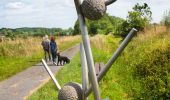 Trail On foot Flobecq - The Medicinal Plants Walking Tour - Photo 3