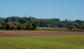 Randonnée A pied Tournai - Les chemins du 