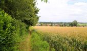 Tocht Te voet Lessen - Wandeling van het Château de l'Estriverie - Photo 4