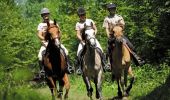 Excursión Caballo Frasnes-lez-Anvaing - Loop of Frasnes-Lez-Anvaing - Photo 1