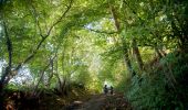 Randonnée A pied Tournai - Les chemins du 