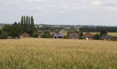 Tour Zu Fuß Lessines - Promenade de l'Arbre de la Liberté - Photo 4