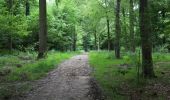 Tocht Te voet Lessen - Wandeling van Bois-de-Lessines - Photo 1