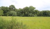 Tour Zu Fuß Lessines - Promenade de l'Arbre de la Liberté - Photo 1