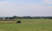 Percorso A piedi Silly - Hoves : its open landscapes and old farms - Photo 1