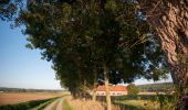 Trail On foot Tournai - Windmill walk - Photo 4