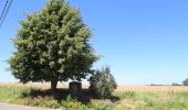 Trail On foot Silly - The Saint Marcoult Scrubland Walking Tour - Photo 2