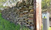 Excursión A pie Bernissart - Dry stone walls walking tour - Photo 5