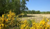 Percorso A piedi Bernissart - Dry stone walls walking tour - Photo 4