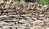 Excursión A pie Bernissart - Dry stone walls walking tour - Photo 3