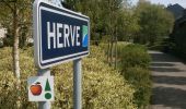 Trail Mountain bike Herve - Herve : Walk of the apple trees in the land of orchards (32,2 km) - Photo 2