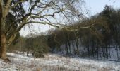 Trail On foot Esneux - Esneux - Le Tour du Mary - Photo 1