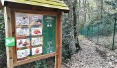 Trail On foot Chaudfontaine - Parcs d'Embourg - Photo 3
