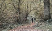 Trail On foot Walcourt - Au fil de Pry - Photo 5