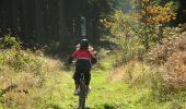Trail Mountain bike Vielsalm - VTT 2 - Photo 1