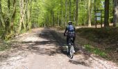 Trail Mountain bike Vielsalm - VTT 3 - Photo 4