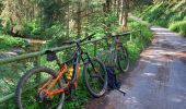 Trail Mountain bike La Roche-en-Ardenne - VTT's 3 - Photo 1