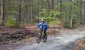 Tour Mountainbike La Roche-en-Ardenne - VTT's 4 - Photo 1