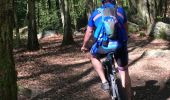 Trail Mountain bike Bertogne - VTT 5 - Photo 1