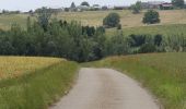 Tour Mountainbike Onhaye - Grand Onhaye par Grange et Montaigle - Photo 2