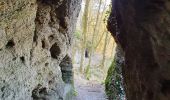 Randonnée A pied Bertrix - Cugnon BX 08, Grotte Saint Remacle - Photo 4