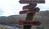 Trail On foot Bouillon - Promenadedu Gue du Loquet 63 - Photo 4
