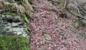 Tocht Te voet Bouillon - Passerelle de l'Epine - Photo 3