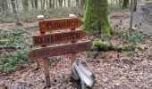 Tocht Te voet Bouillon - Passerelle de l'Epine - Photo 2