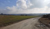 Trail On foot Bastogne - Moulins de la Wiltz - Photo 1