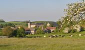 Randonnée A pied Onhaye - RUINES DE MONTAIGLE - Falaën - Photo 3