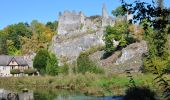 Trail On foot Onhaye - Ruines de Montaigle - Photo 2