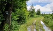 Trail On foot Paliseul - Carlsbourg : De l'Almache - Photo 3