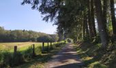 Trail On foot Bièvre - Les Translets - Photo 1