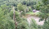 Percorso A piedi Vresse-sur-Semois - Récréalle - Photo 2