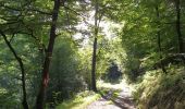 Trail On foot Bouillon - Promenade de Viaumont - Rivage de Marion 40 - Photo 4