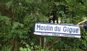 Tour Zu Fuß Vresse-sur-Semois - Le Moulin du Gigue - Photo 3
