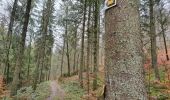 Trail On foot Bertrix - Auby 01 - Photo 5