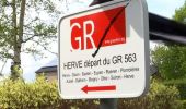 Randonnée A pied Herve - GRP 563 : Herve-Limbourg-Eupen-Plombières-Dalhem-Soiron-Herve - Photo 1