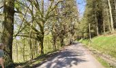 Percorso A piedi Vresse-sur-Semois - Le chemin du blanc - Photo 2