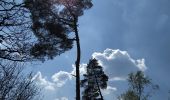 Percorso A piedi Vresse-sur-Semois - Le chemin du blanc - Photo 4