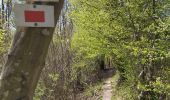 Trail On foot Vresse-sur-Semois - La roche l'ermite - Photo 9