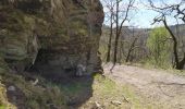 Trail On foot Vresse-sur-Semois - La roche l'ermite - Photo 7