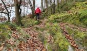 Trail On foot Vresse-sur-Semois - La roche à Saloru - Photo 1