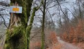 Trail On foot Vresse-sur-Semois - Jeune Bois - Photo 1