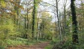 Tour Zu Fuß Ibingen - Le Joli Bois à Athus - Photo 1