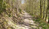 Trail On foot Daverdisse - Promenade de l'Ermite  G5 - Photo 3